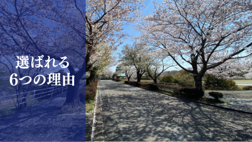 選ばれる6つの理由