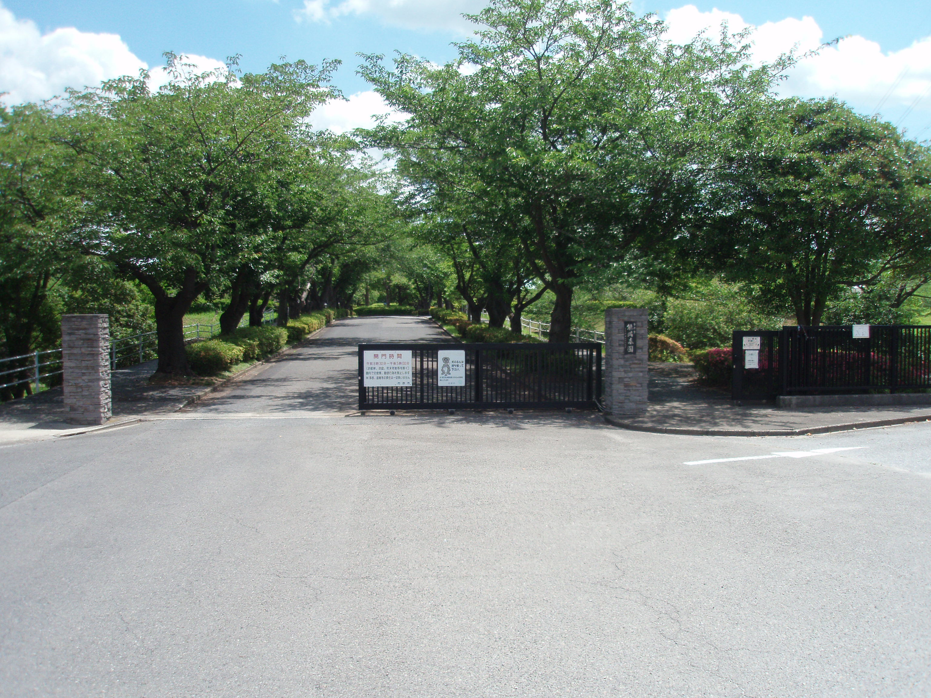 緑豊かな公営霊園
